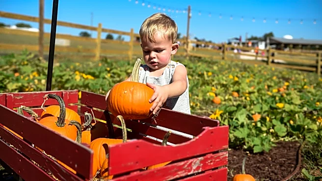 Augusta readies for tricks, treats and fall festivities