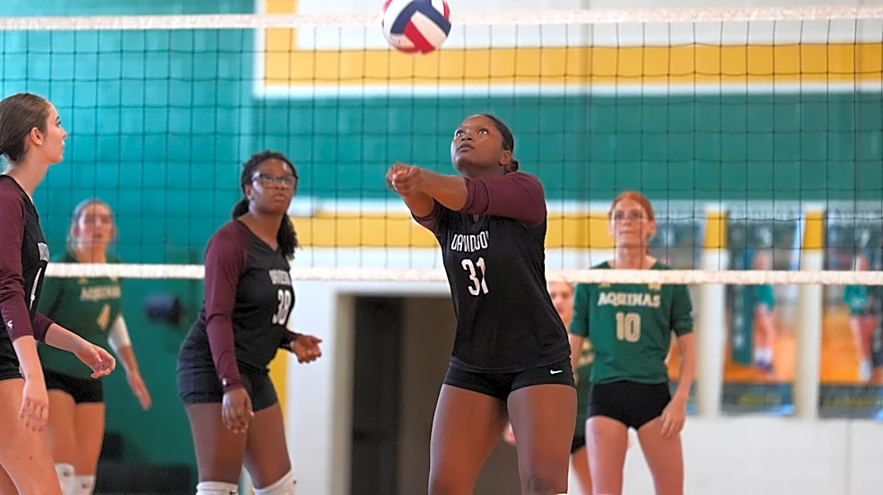 GHSA volleyball: Which Augusta-area teams are in, first-round matchups