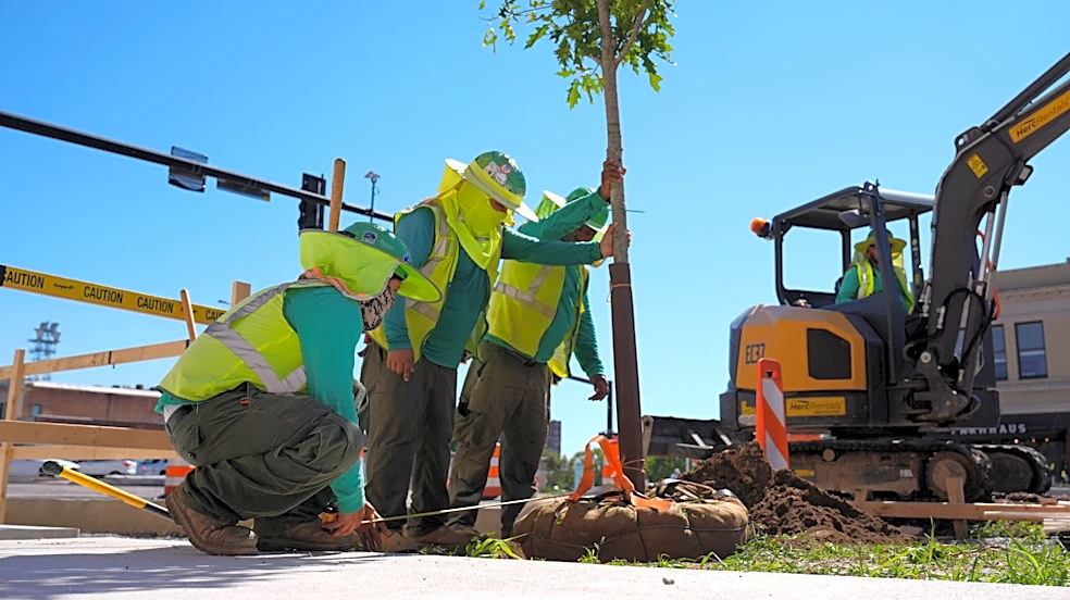 Trees return to Augusta's Broad Street. See the new look