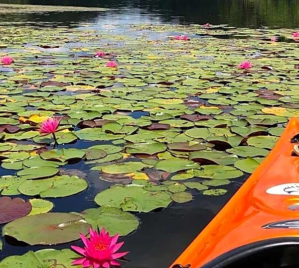 After criticism, Ohio won't allow gas-powered boats at state park