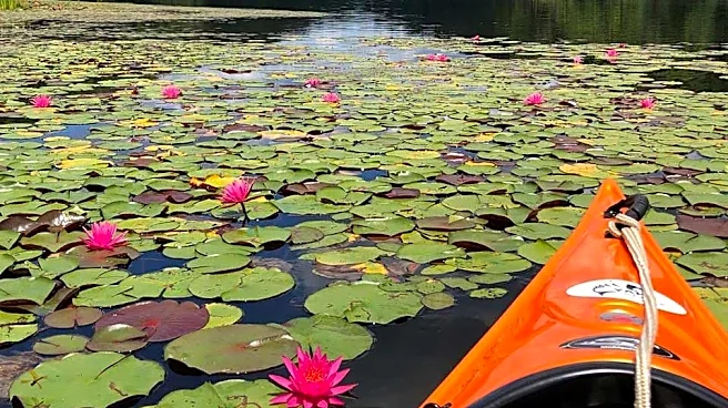 After criticism, Ohio won't allow gas-powered boats at state park