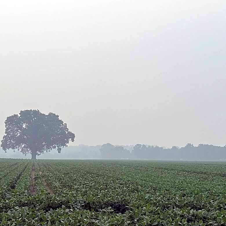 Wildfire smoke hospitalizes Ohio National Guardsmen