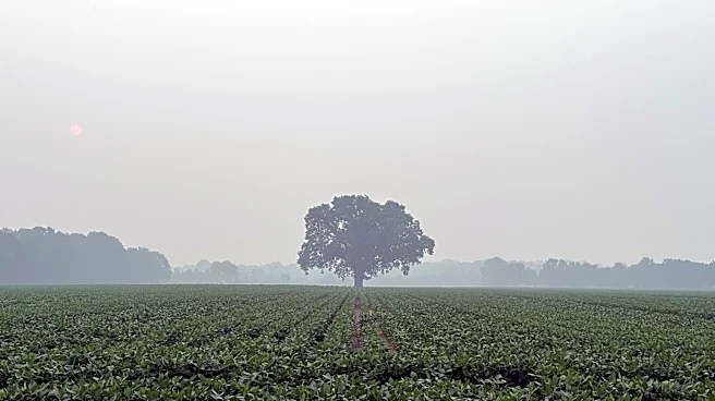 Wildfire smoke hospitalizes Ohio National Guardsmen