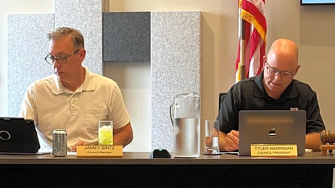 Plain City Village Council introduces possible one-year data center moratorium