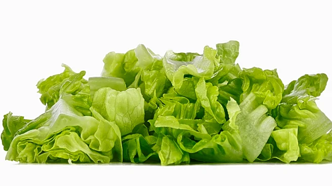 Not just lettuce: FDA investigates salmonella, more foodborne diseases