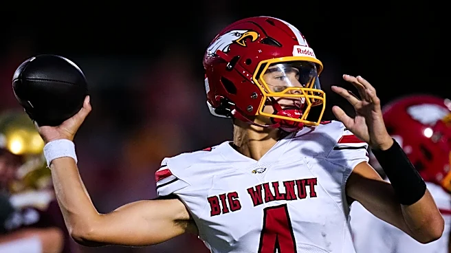 Vote for central Ohio high school football preseason offensive player of year