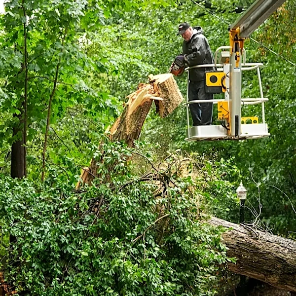 Avoid South Side after storm damage, Columbus division of police asks