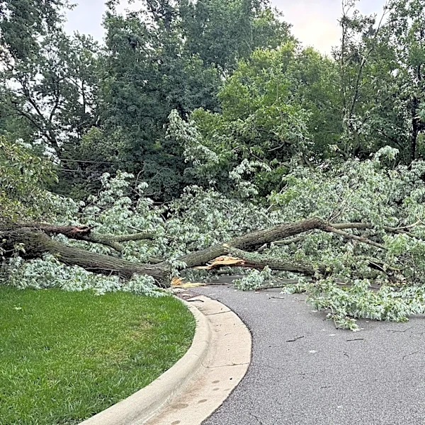 Columbus city officials are banding together to provide resources after storms