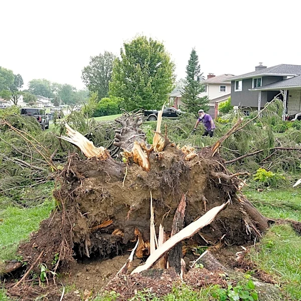 National weather service confirms tornado in Columbus