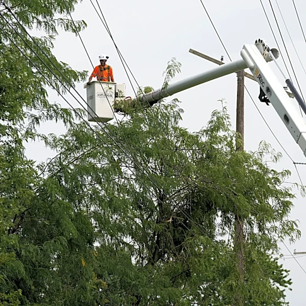 6 tornadoes struck the Buckeye state Aug. 11, 2 in central Ohio. See where
