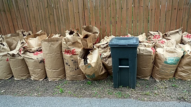 Columbus yard waste policy is utterly trash. Storm left us in a heap | Letters