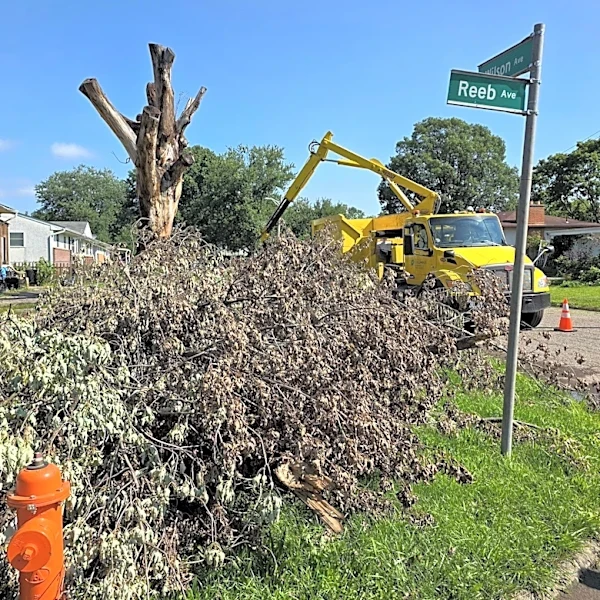 How Columbus residents can get free help cleaning up storm damage