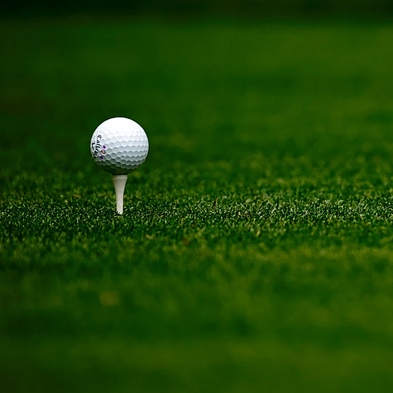 Fore One Purpose returns to help family battling rare disease