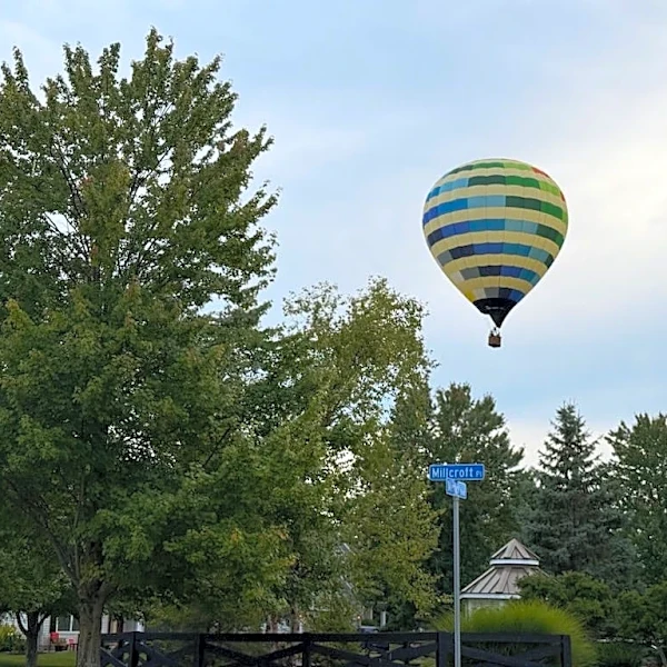Hot air balloon descends on Delaware County neighborhood. See the story behind the landing