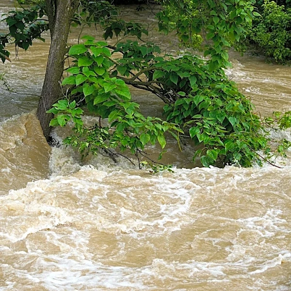 Man found dead in floodplain believed to be missing Groveport man