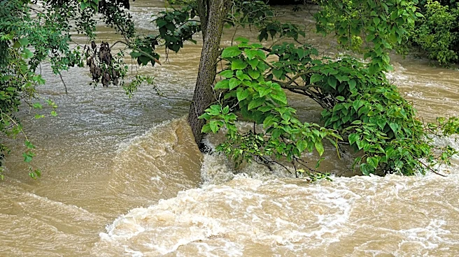 Man found dead in floodplain believed to be missing Groveport man