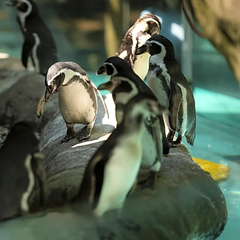 Columbus Zoo receives $10M from McConnells for aquarium, other projects