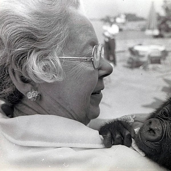 This Week In History: Baby gorilla at Columbus Zoo meets woman who named her