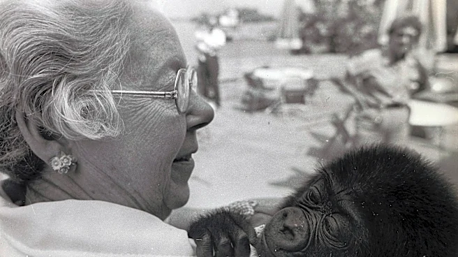 This Week In History: Baby gorilla at Columbus Zoo meets woman who named her