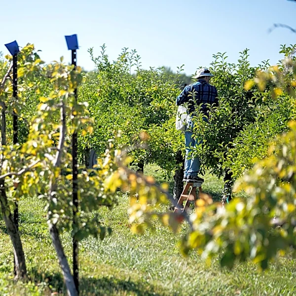 Ready for fall? Where to pick apples, pumpkins in central Ohio