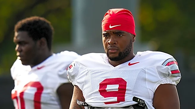 Ohio State football's Zion Grady exits game with injury. What we know