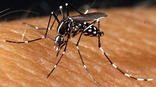 Mosquitoes killed thousands of humans. Ohio has many species
