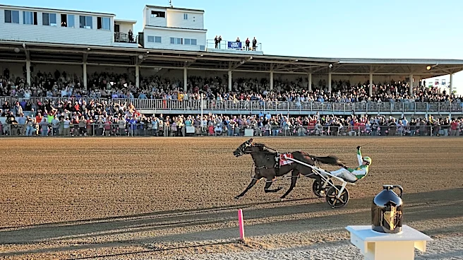 Redland Rocket Man garners Little Brown Jug win for Pentland, Cox, Volpe