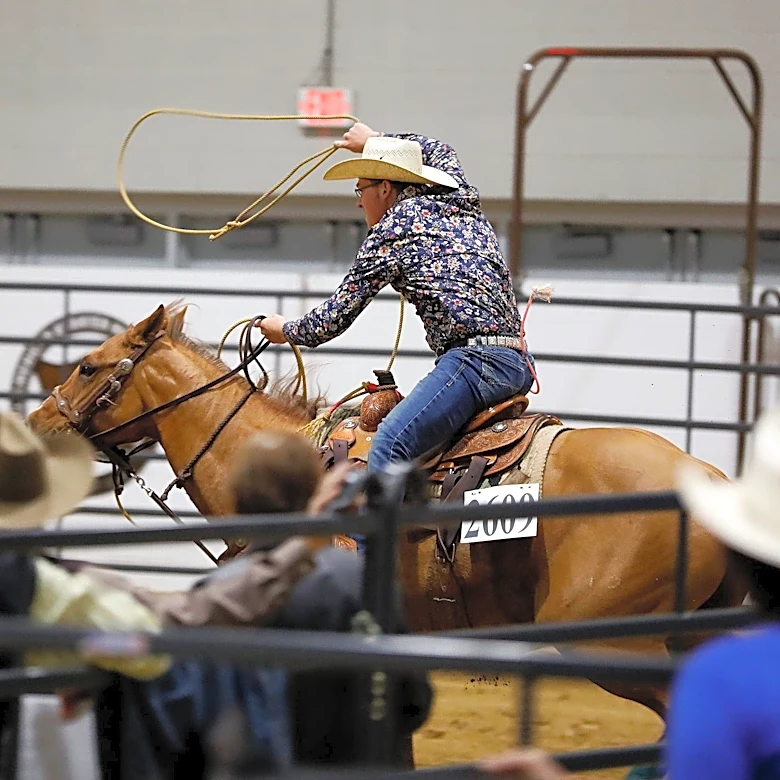 Free admission, puppies and bull riding at Quarter Horse Congress