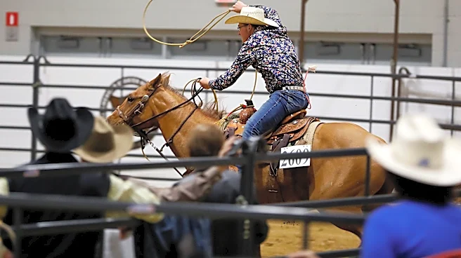 Free admission, puppies and bull riding at Quarter Horse Congress