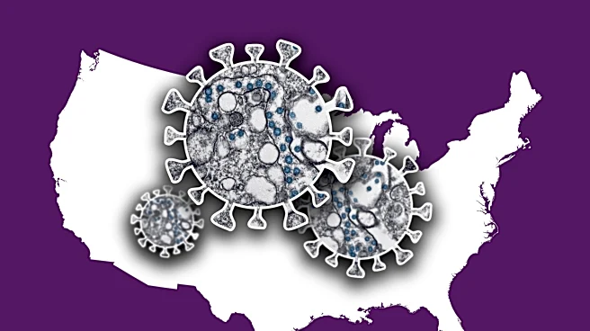 COVID cases rising in some states. What about Ohio? See the map