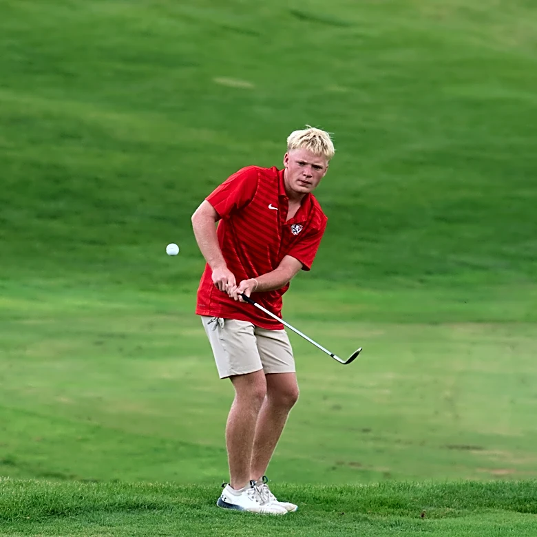 Vote for top central Ohio high school boys golfer of regular season