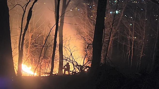 Ohio fall burn ban starts Oct. 1, but these items should never be burned
