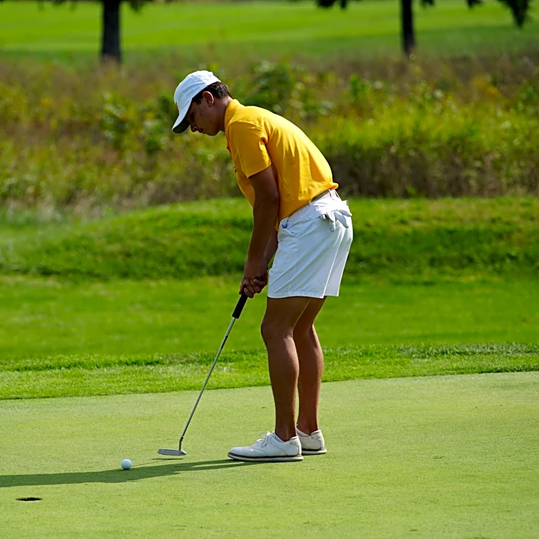 Buckeye Valley, Wellington boys golfers capture OHSAA district titles