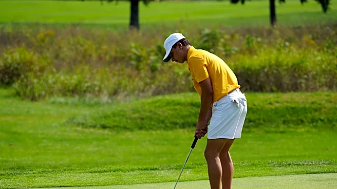 Buckeye Valley, Wellington boys golfers capture OHSAA district titles