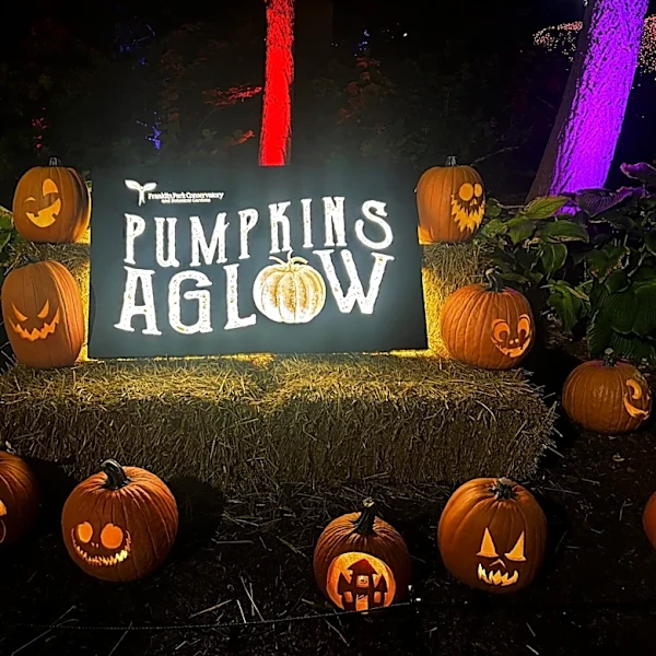 'Pumpkins Aglow' returns to light up Franklin Park Conservatory