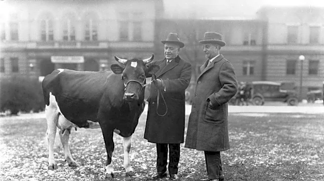 Ohio State brings back Maudine the cow for homecoming parade
