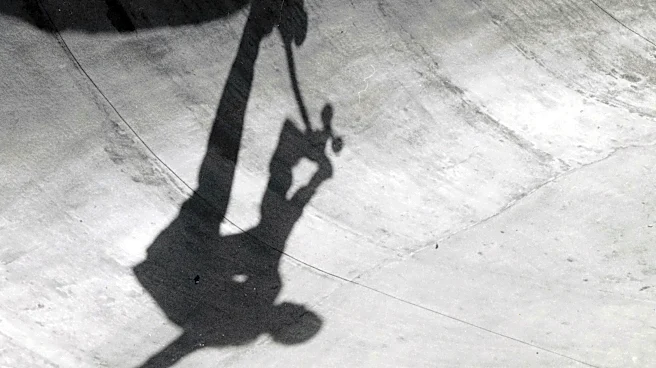Dodge Skate Park, designed with help from legend Tony Hawk's dad, opened in 1990