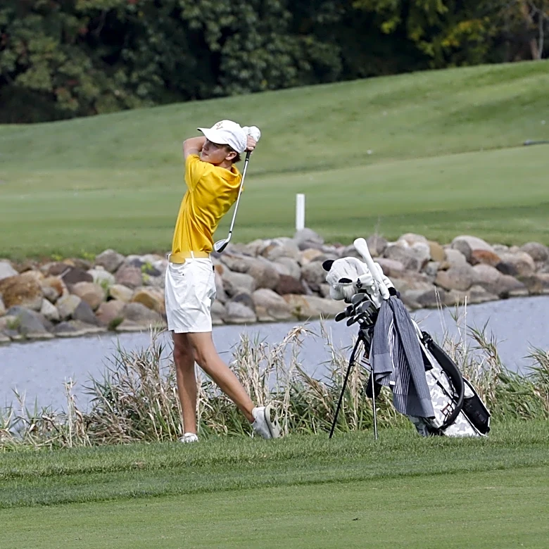 Buckeye Valley, Westfall boys fall short at Division II state golf