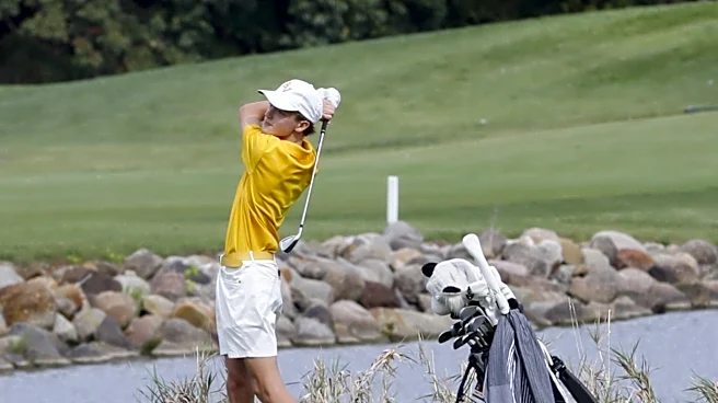 Buckeye Valley, Westfall boys fall short at Division II state golf