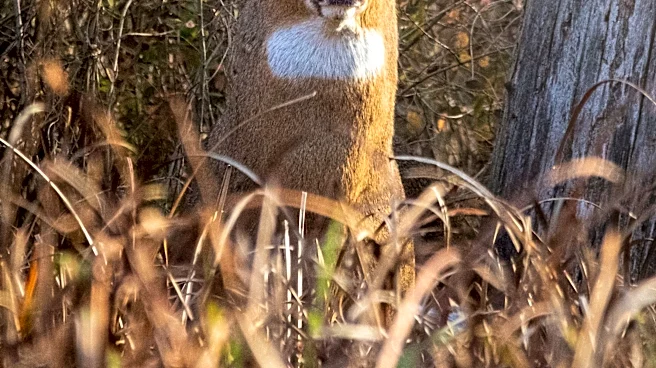It's deer hunting season in Ohio. This is where hunters are having success
