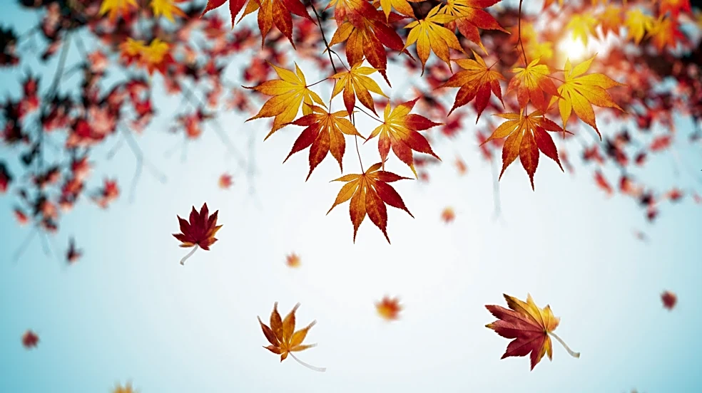 Ohio Thanksgiving weather forecast. Farmers’ Almanac predicts snow