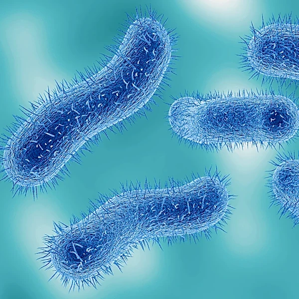 Is Ohio a hotspot for sexually transmitted diarrhea disease? See numbers