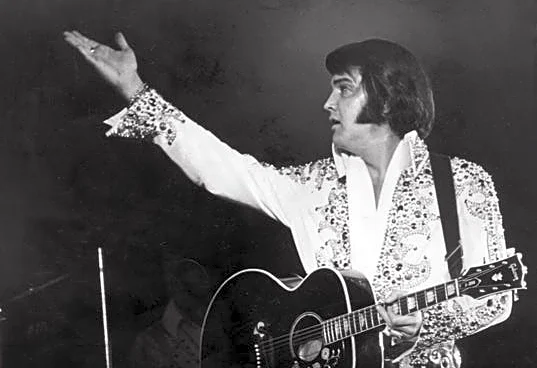 What happened to Elvis Presley's twin brother, Jesse Garon Presley?