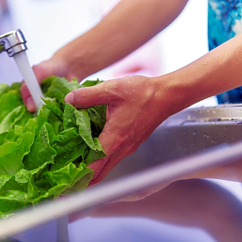 Is lettuce safe to eat in Tennessee? Cyclospora cases are declining