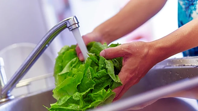 Is lettuce safe to eat in Tennessee? Cyclospora cases are declining