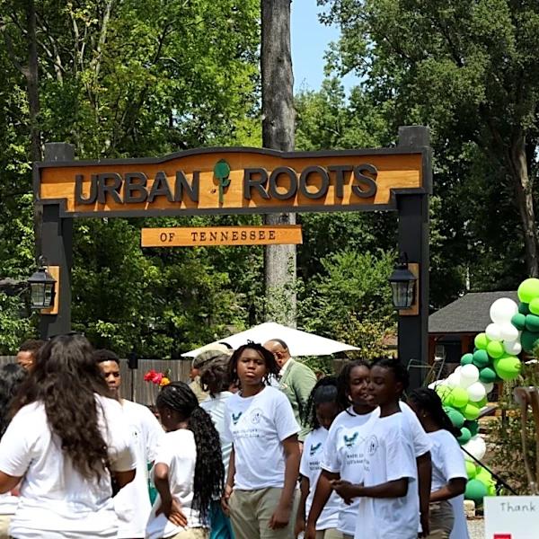 Urban Roots of Tennessee grows produce and opportunity for Memphis youth