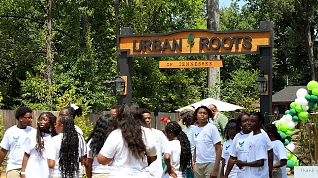 Urban Roots of Tennessee grows produce and opportunity for Memphis youth
