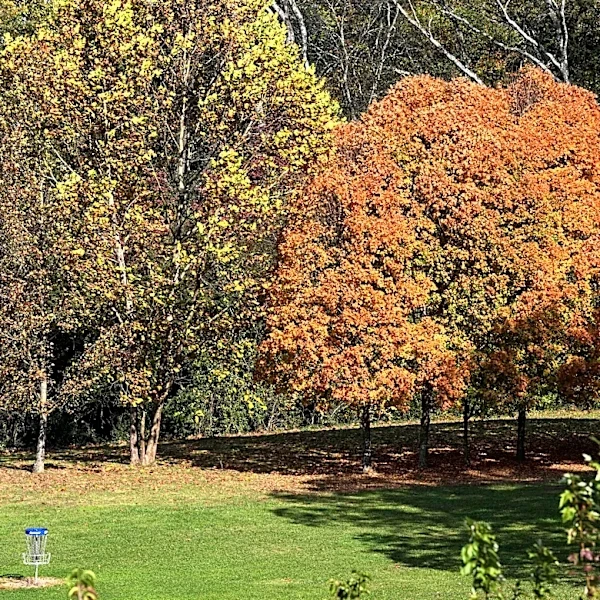 When will it start cooling down in Tennessee? Heat to linger in September