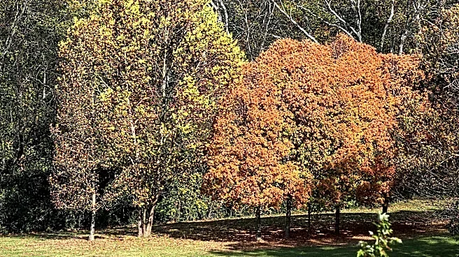 When will it start cooling down in Tennessee? Heat to linger in September