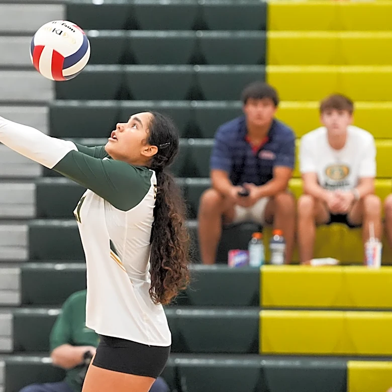 Northpoint's Christiana Nolan has 14 kills to lead Memphis top performers in Week 6